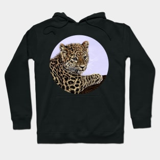 Amur leopard cub Hoodie